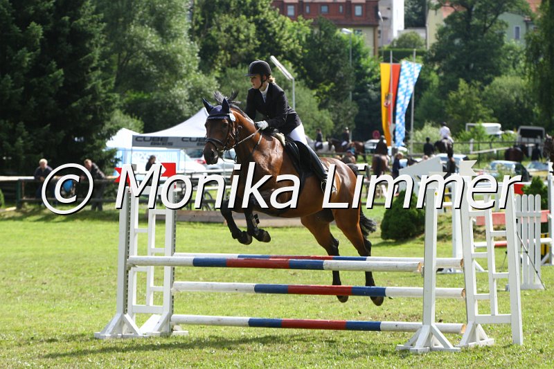 007L9050_Abido_Punktespringen  Ax.JPG